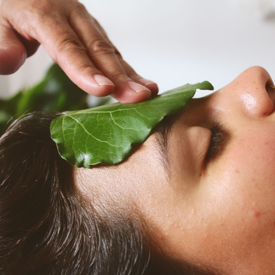 New Zealand Natural Skincare & Clean Beauty | House of Rehua