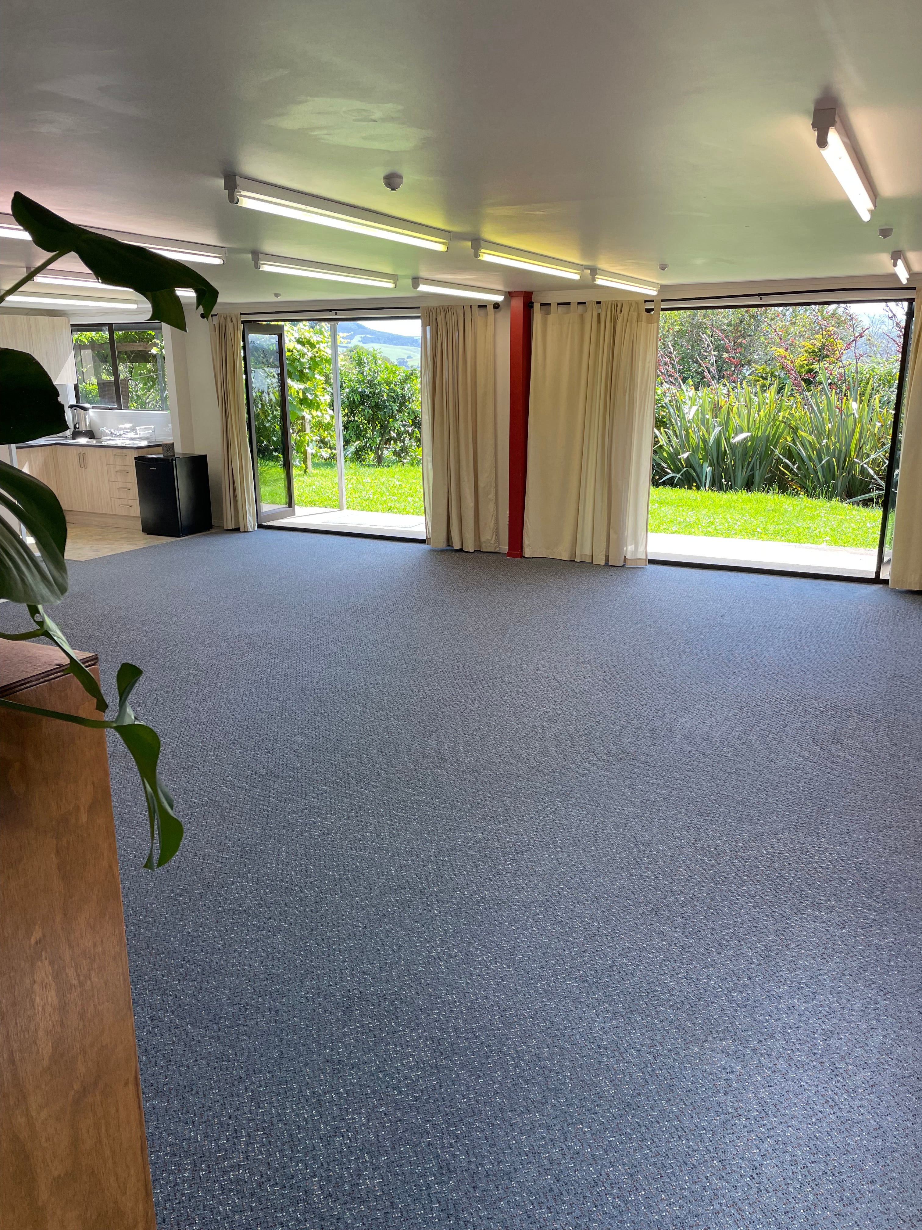 Room interior with a large window showing greenery outside, blue textured wall, and a plant.