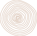 Circular pattern with concentric lines on a white background