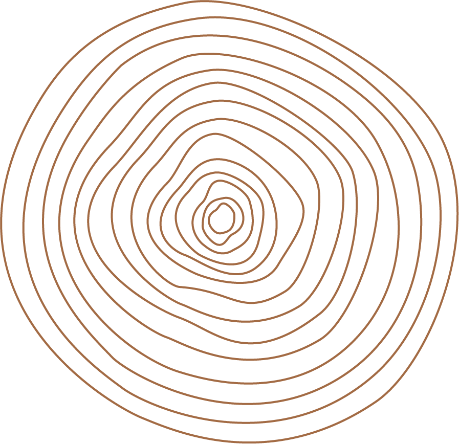 Circular pattern with concentric lines on a white background