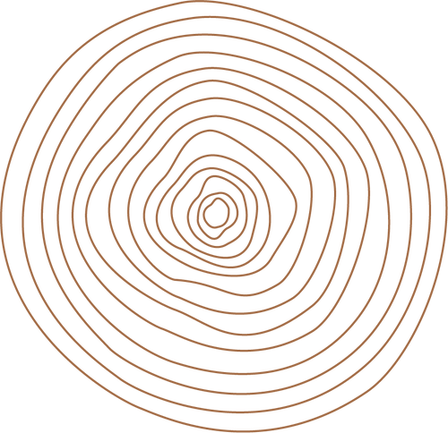 Circular pattern with concentric lines on a white background