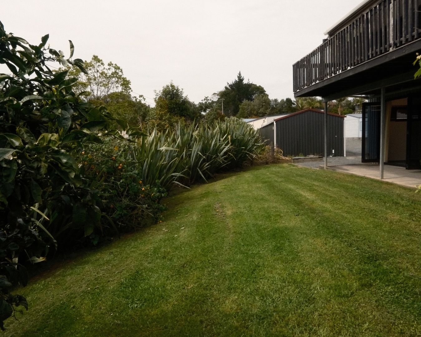 Lawn area with garden plants and a house in the background