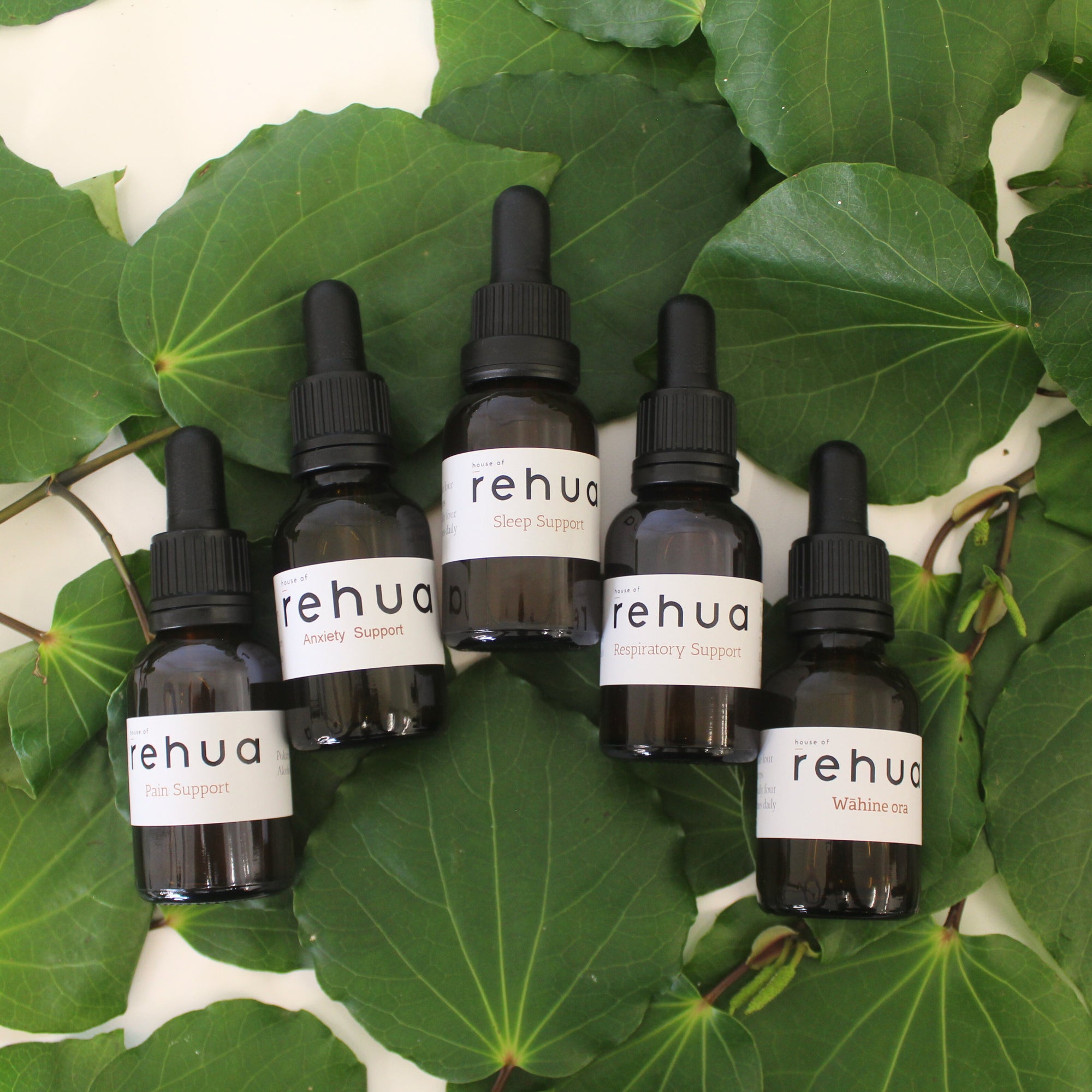 Set of House of Rehua Rongoā Tincture bottles on kawakawa leaves