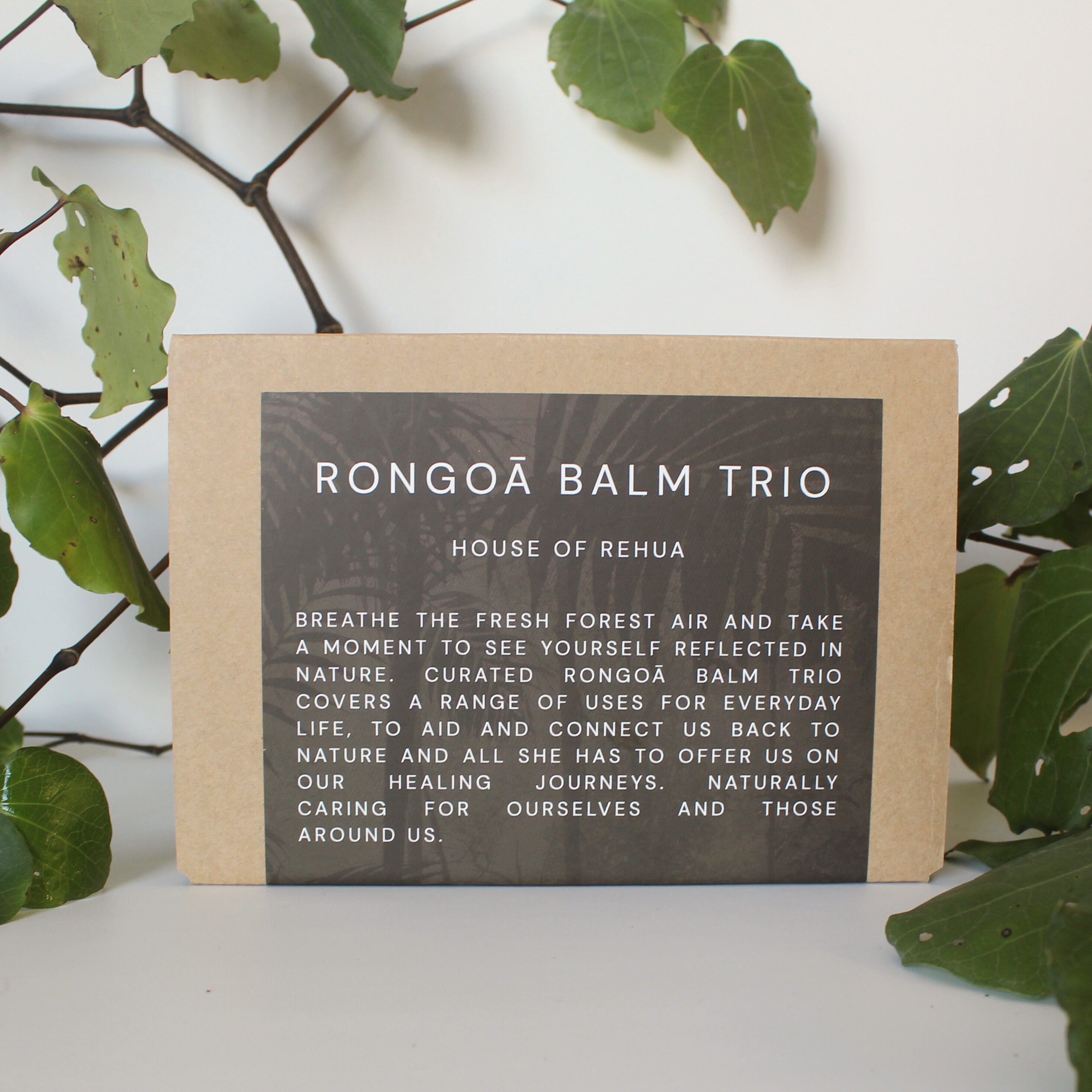 gift box with leaves in the background