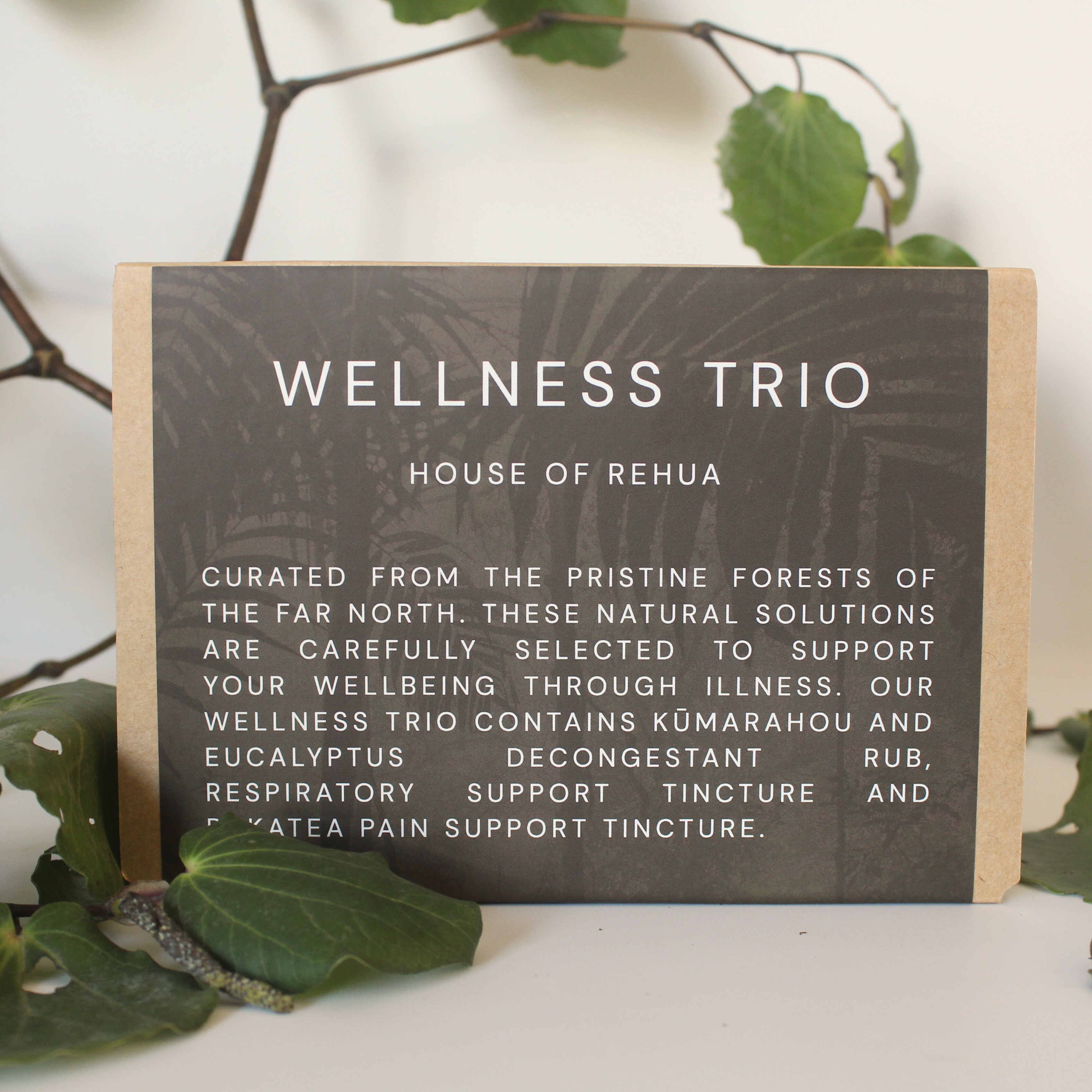 Wooden sign with 'Wellness Trio' text and product details, surrounded by green leaves.
