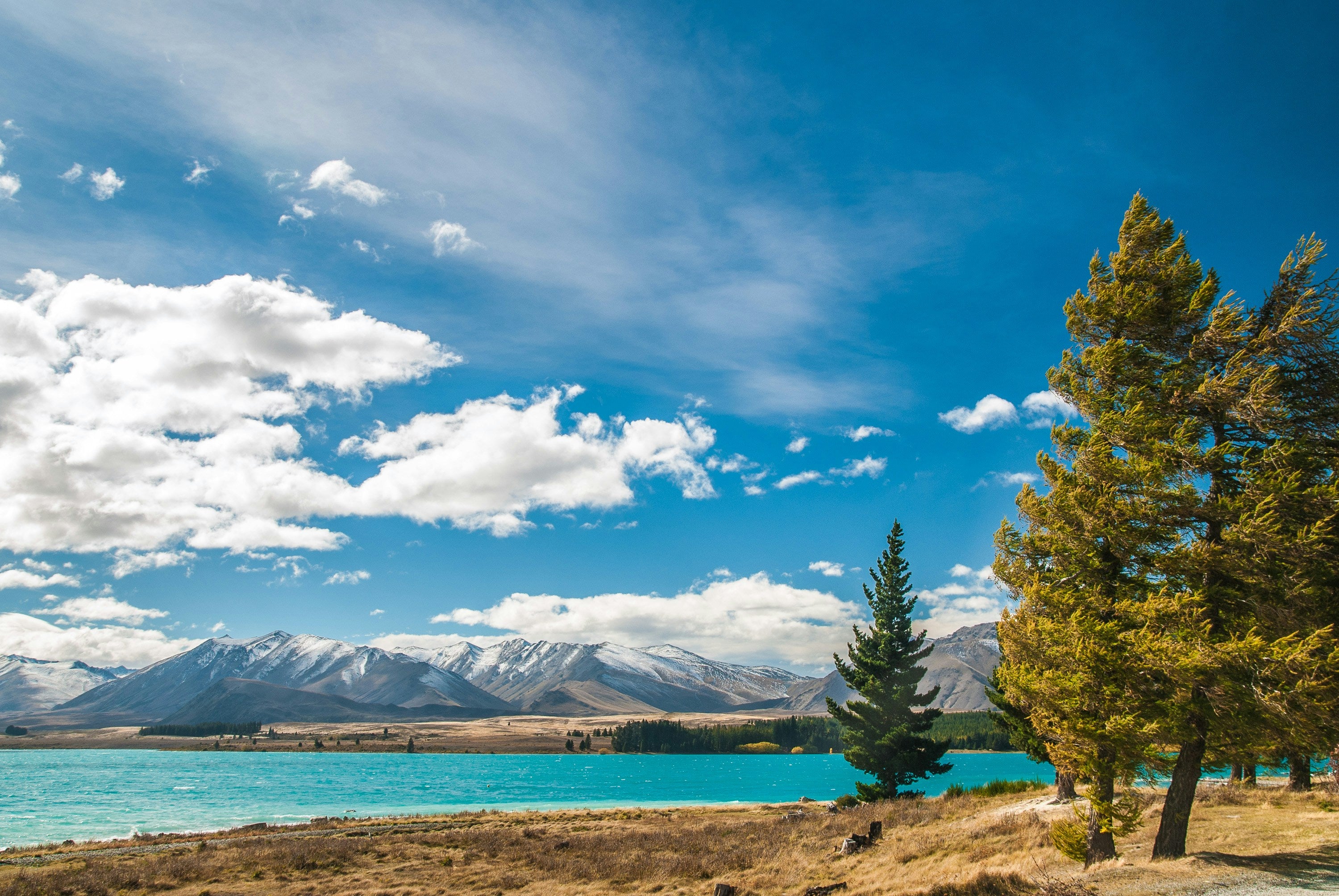 Scenic landscape photograph of a bright blue lake with snow-capped mountains in the background, a clear blue sky with white clouds, and tall green trees in the foreground. south island new zealand